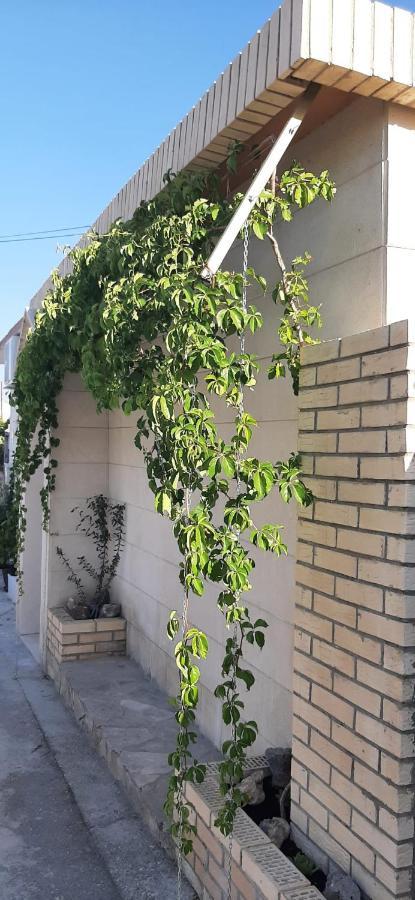Apartment Brane Solin Exterior photo